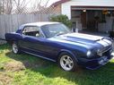 1967_ford_mustang_shelby_gt500_143.jpg
