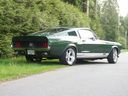 1967_ford_mustang_shelby_gt500_150.jpg