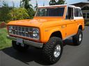 Ford_Bronco_Custom__8656.jpg