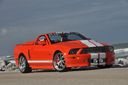 Ford_Mustang_custom_709.jpg