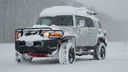 Toyota_FJ_Cruiser_Tuning_5239.jpg