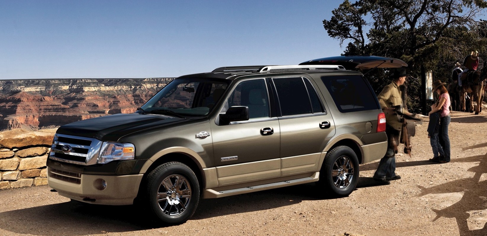 Custom ford expedition pics #7