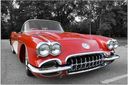 1953_Chevrolet_corvette_123.jpg