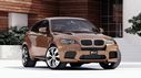 BMW_X6_Tuning_20194.jpg
