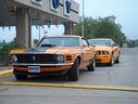 classic_ford_mustang_117.jpg